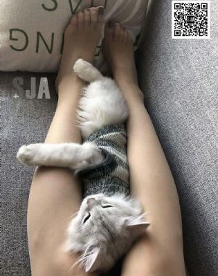 日本三级美国三级韩国三级_免费手机在线看观看